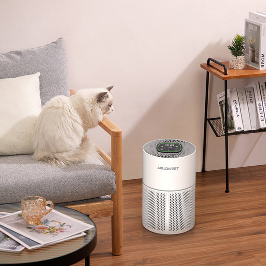 Why Air Purifiers are a Necessity in Today's Homes