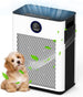 air purifier for home