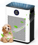 air purifier for home