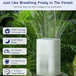 air purifier