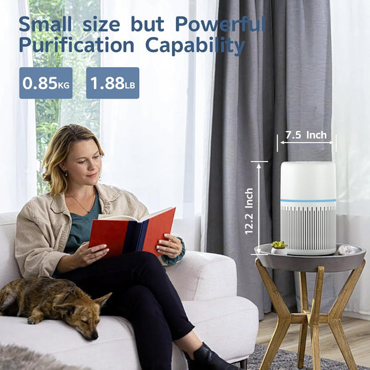 Air Purifiers for Home