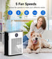 air purifiers for room