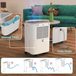 dehumidifier for home