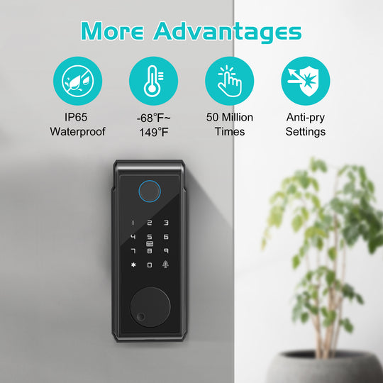 Smart WIFI Door Lock