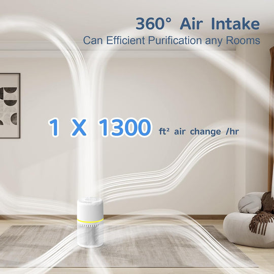 Air Purifiers for Home
