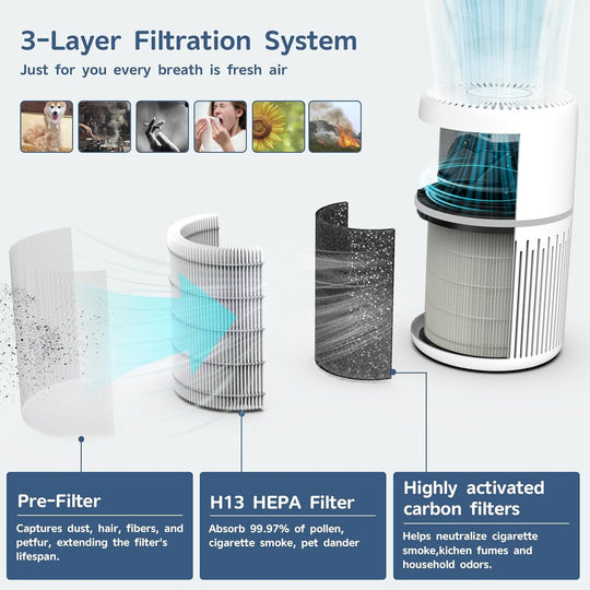 Air Purifiers for Home